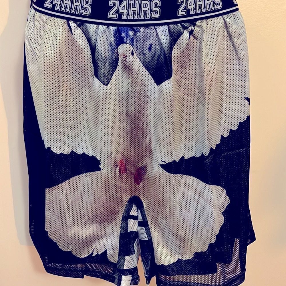 24HRS Wonderland Rave Bird Basketball Shorts